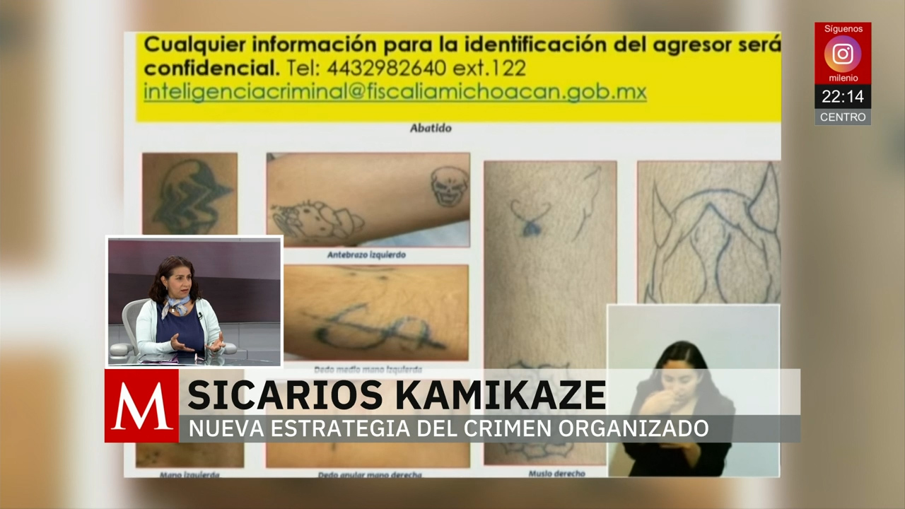 Sicarios 'Kamikaze', utilizados por el crimen organizado: Liliana Estévez