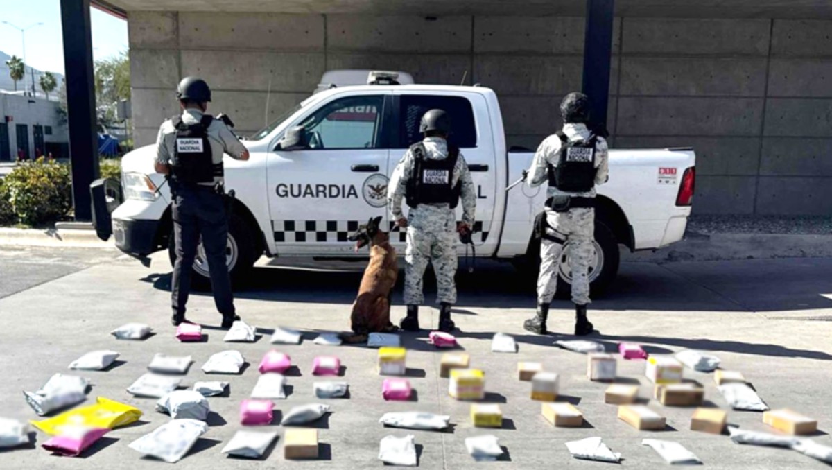 Autoridades aseguraron 15 kilos de mariguana en Nuevo León. | SSPC