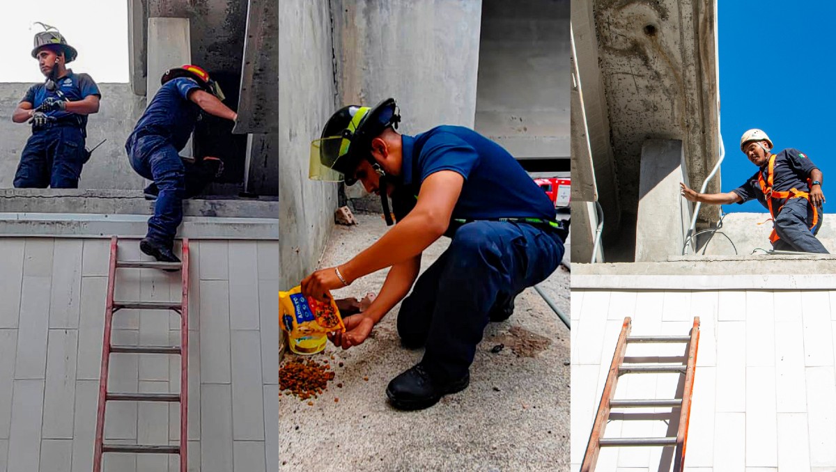 Bomberos intentan rescatar a perrito atrapado bajo puente en Reynosa; analizan romper el concreto