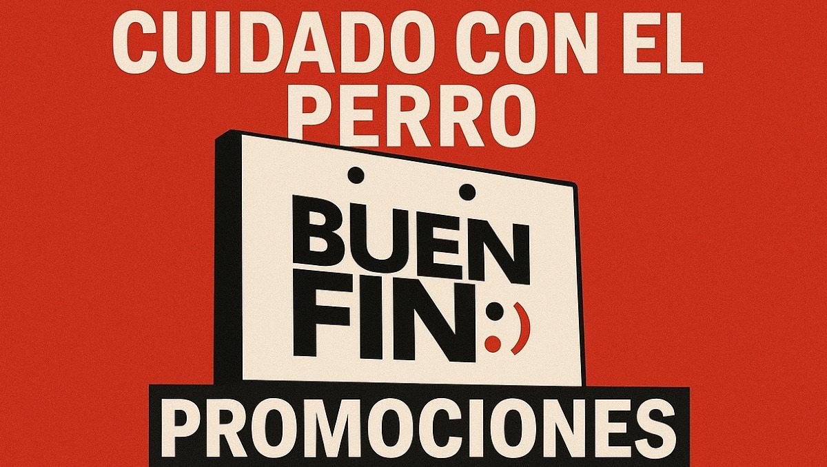 Compra toda la ropa que quieras a precios increíbles | IA DISCOVER