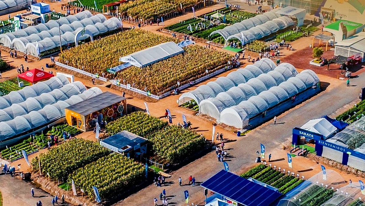 Expo Agroalimentaria 2025 inicia sin presencia de Libia Dennise | Especial