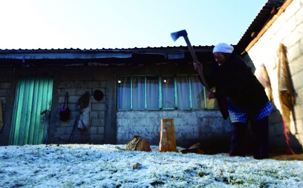 Incluyen a adultos mayores, niños, menores de cinco años y personas con discapacidad. T. Contreras