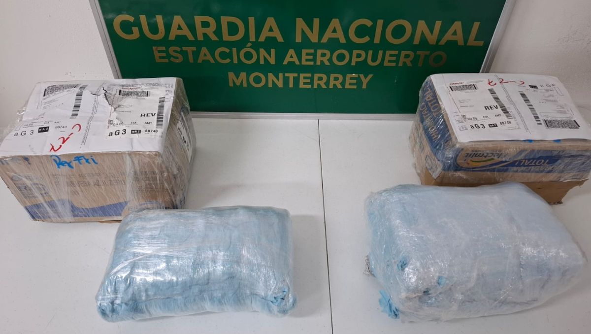 Los indicios asegurados fueron puestos a disposición de las autoridades competentes | Especial