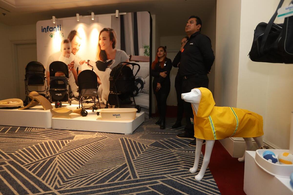 Según Inegi, la población canina que vive en hogares mexicanos se estimó en 42.6 millones de perros en 2022. | Especial