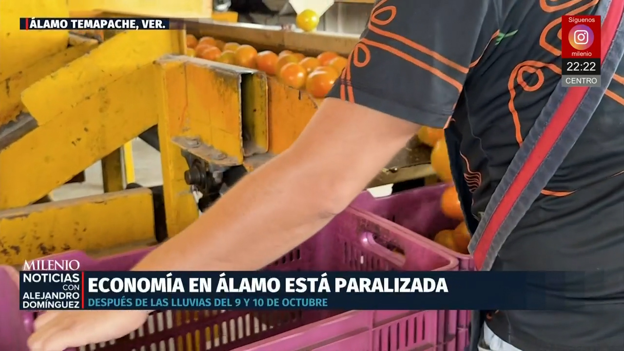 Inundaciones dejan graves pérdidas citrícolas en Álamo