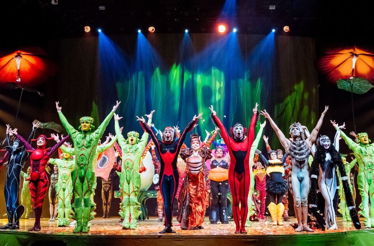 OVO el show del Cirque Du Soleil que lelga a la Ciudad de México | Cortesía