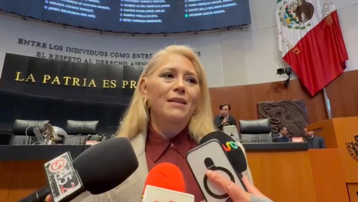 Senadora de Morena Verónica Camino Farjat. | Foto: Especial