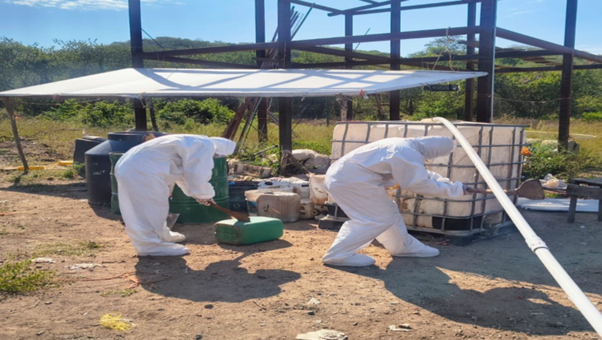 Autoridades encontraron campamentos clandestinos en Elota, Sinaloa. | SSPC