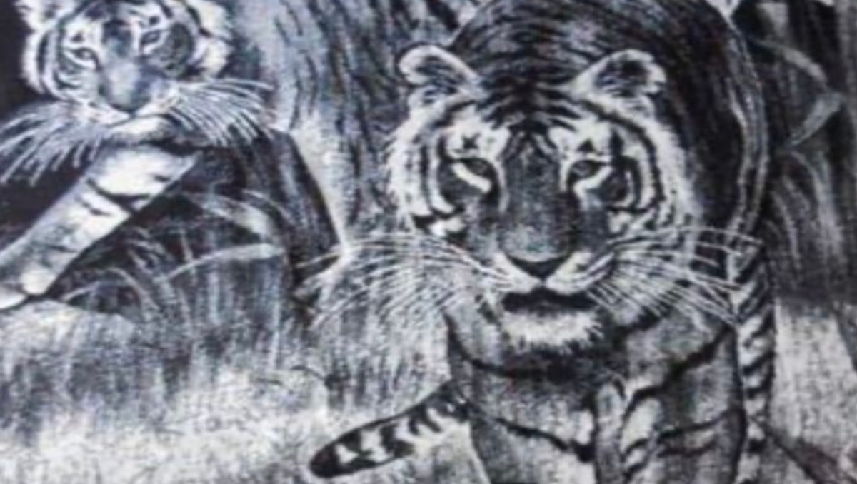 Los cobertores San Marcos tienen sus orígenes en Aguascalientes | Especial