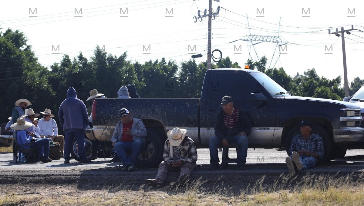 El Consejo Nacional Agropecuario propuso fijar el precio del maíz considerando los costos de producción.