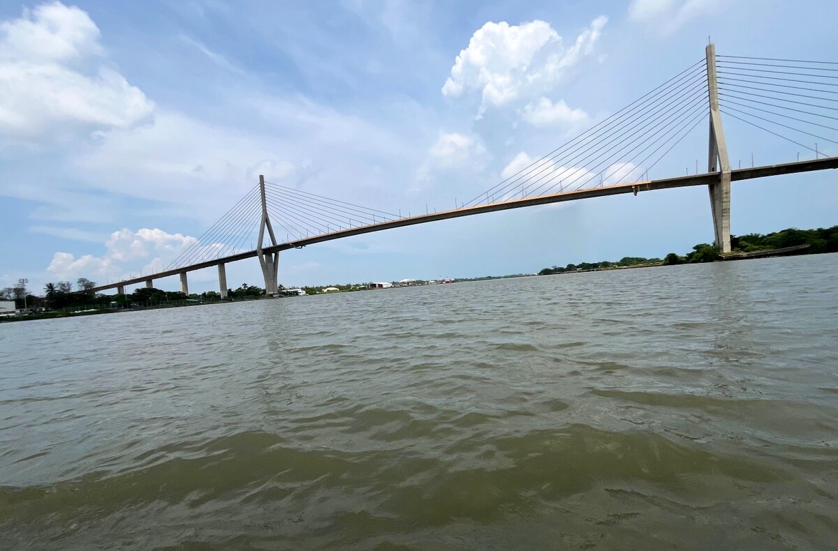 Entre descargas de drenaje, residuos de hidrocarburos y sobreexplotación, agoniza el río Pánuco y las nutrias ya fueron las primeras víctimas