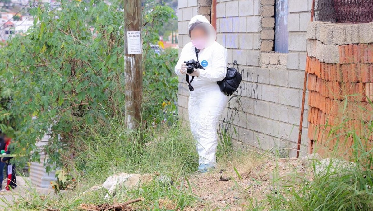 Hasta el momento el agresor ya fue identificado, pero no ha sido detenido. | Especial