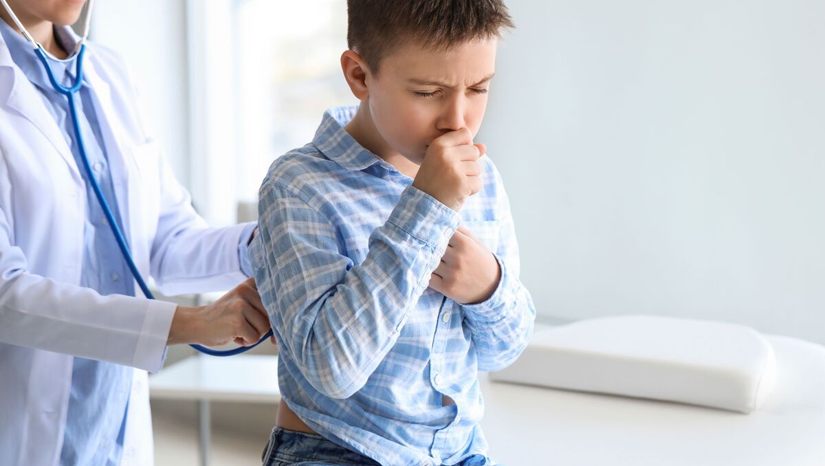 Indicaron que el estudio se está realizando desde 2024. | Especial.