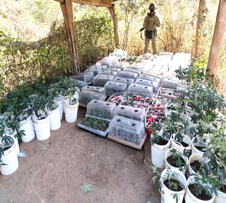 Se inhabilitaron áreas de concentración de material diverso para la fabricación de drogas sintéticas. | SCC