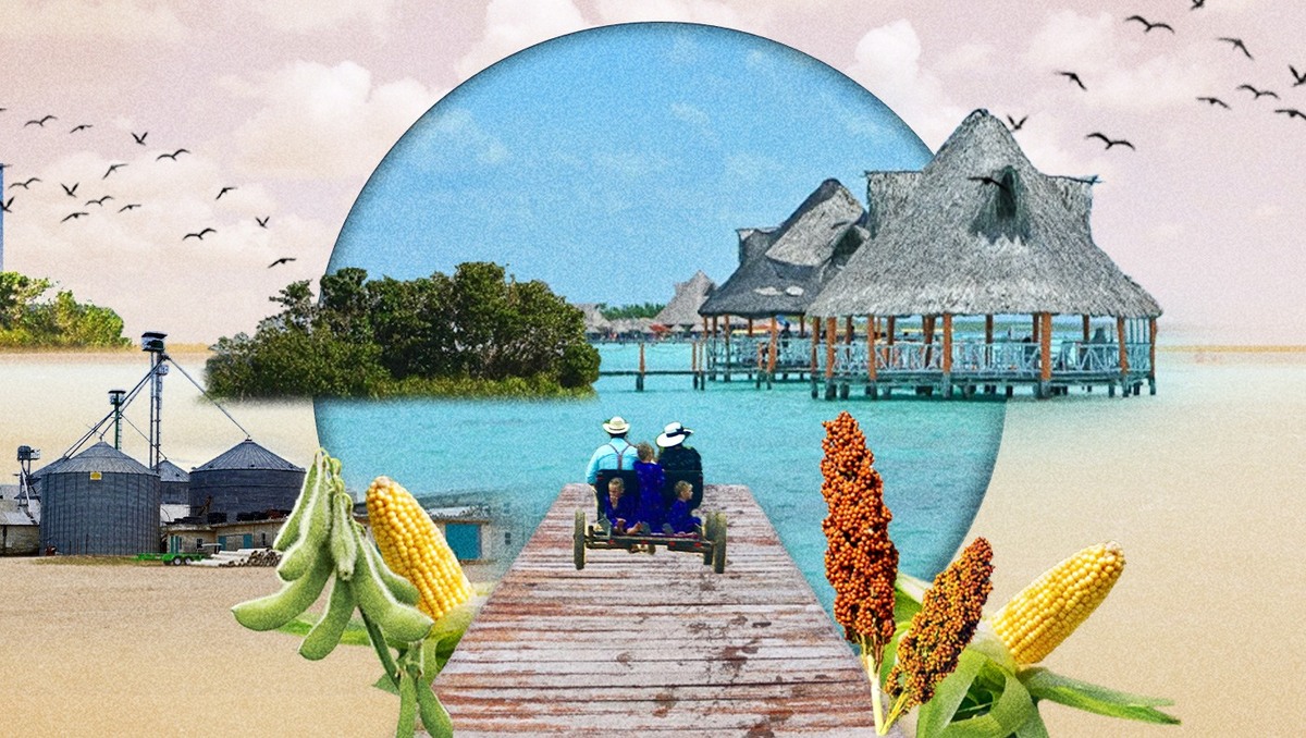 Los niños menonitas no conocen el miedo en Bacalar | Portada