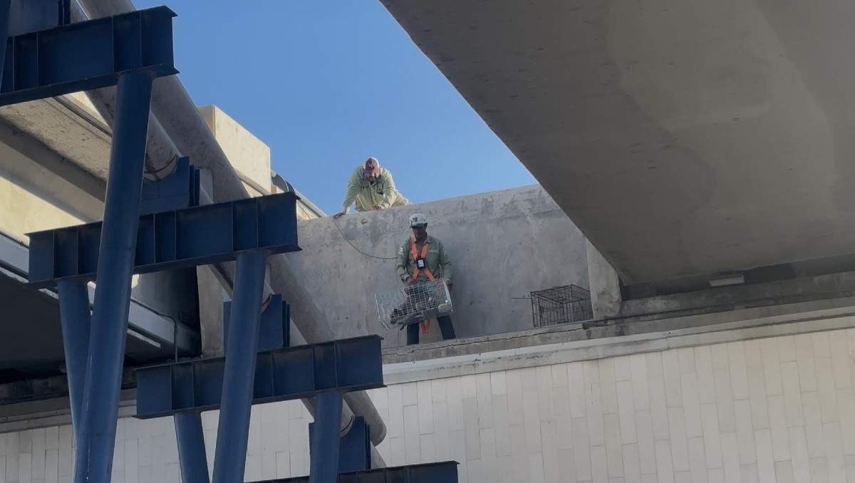 Rescatan a perrito en puente de Reynosa. (Cortesía)