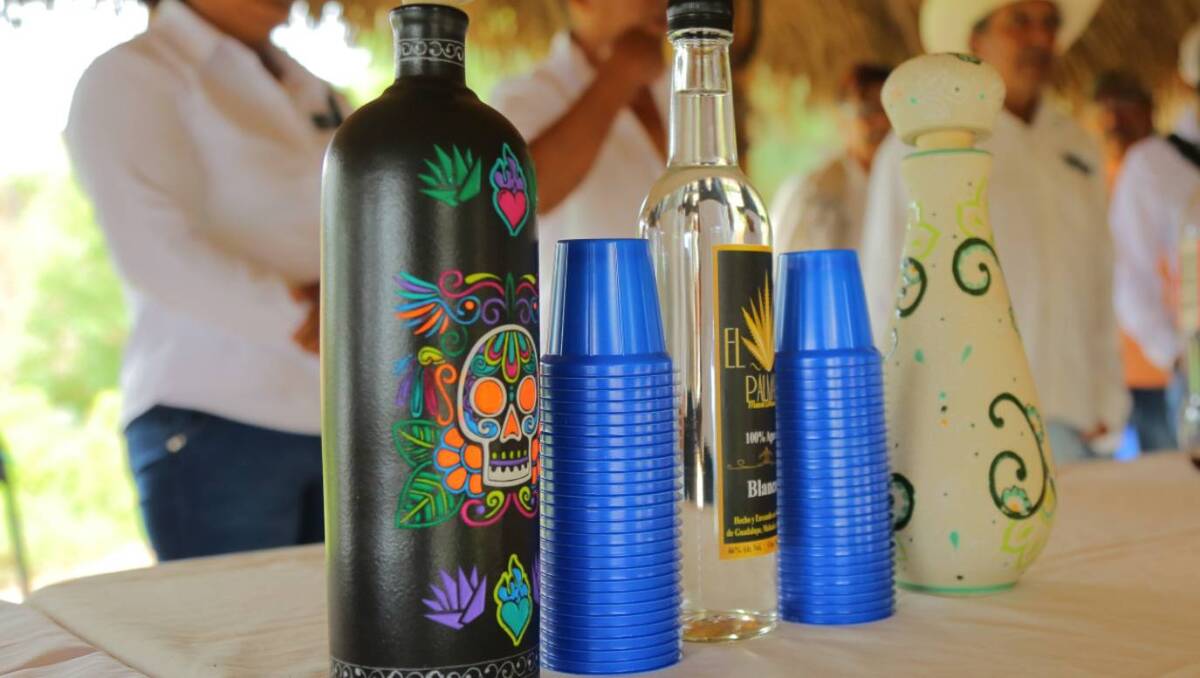 Buscan alinear los procesos productivos, sanitarios y comerciales a los más altos estándares nacionales e internacionales. Especial