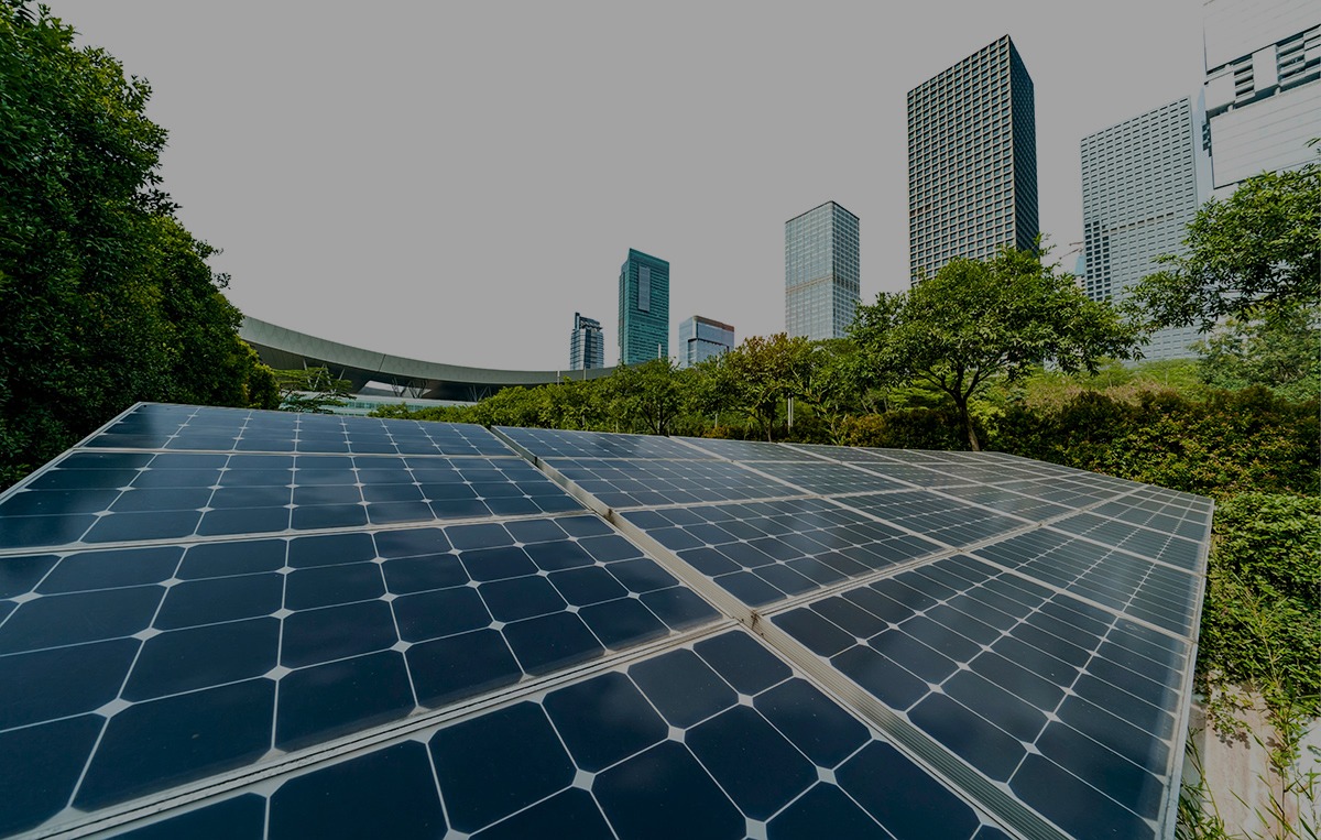 Sostenibilidad en México: inversión mínima, dispersa y aún mal comprendida, señala KPMG