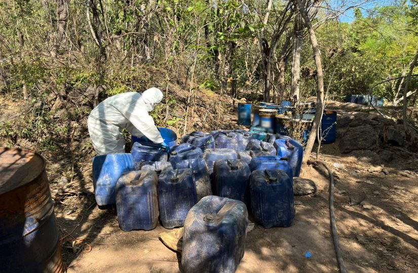 Se localizaron 9 áreas de concentración de material para fabricar drogas. | SSC