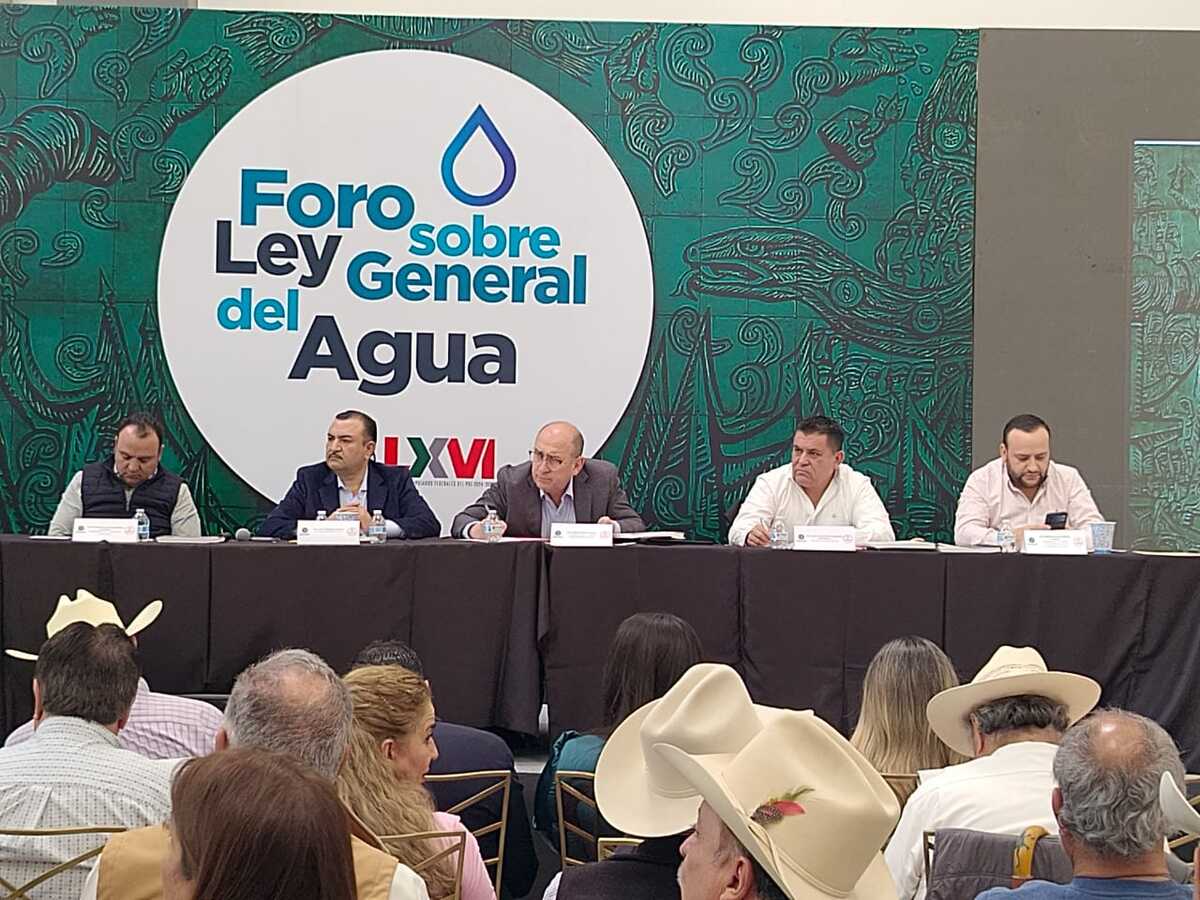 Moreira expresó su preocupación por el trámite que Morena pretende darle al asunto. | Especial