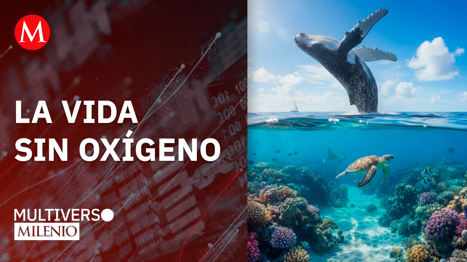 Océanos: evitar el punto de quiebre | Multiverso Milenio