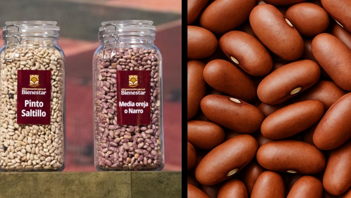 El Frijol Bienestar ya está a la venta | Especial Discover