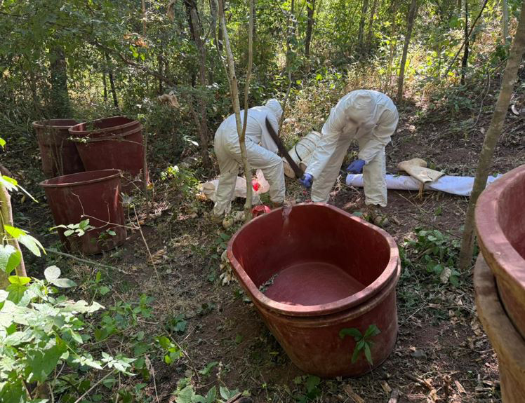 Se localizaron 10 áreas de concentración de material para fabricar drogas. | SSC