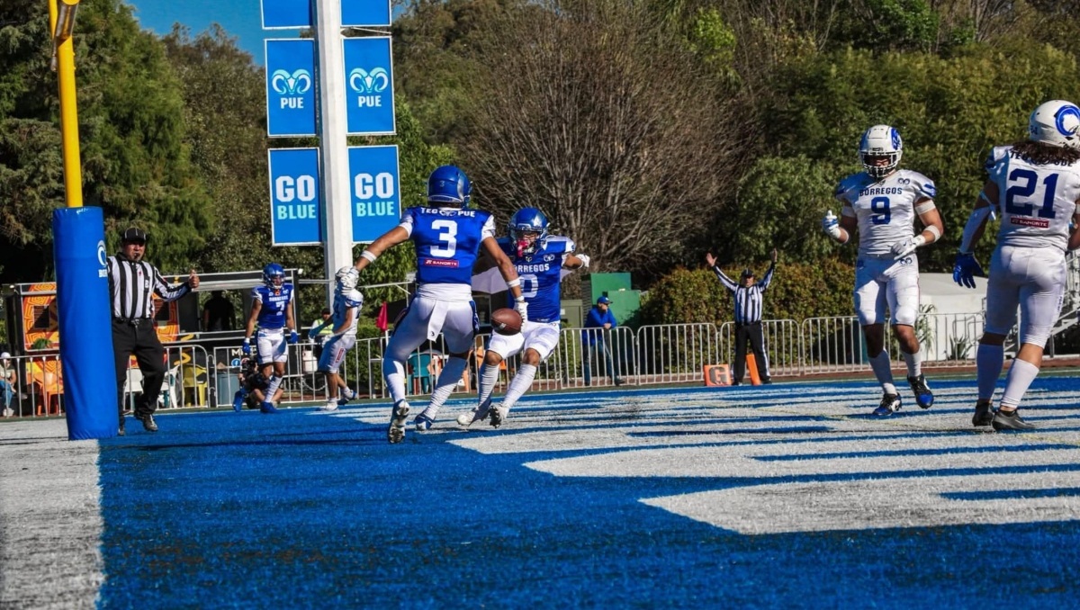 Borregos del Tec de Monterrey Puebla avanza a semifinales Onefa | Especial