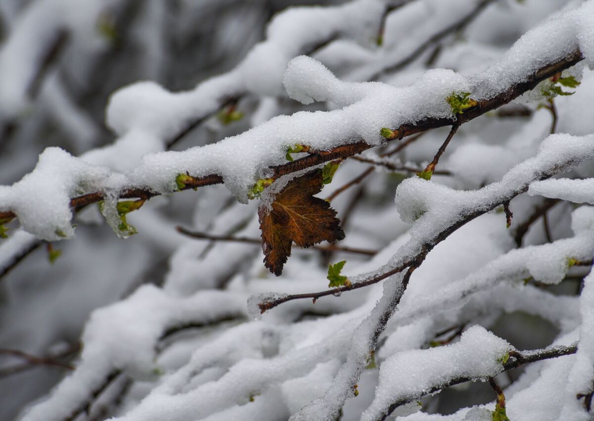 Las medidas de prevención ante los frentes fríos podrían salvar tu vida en esta época invernal . | Archivo cuartocuro