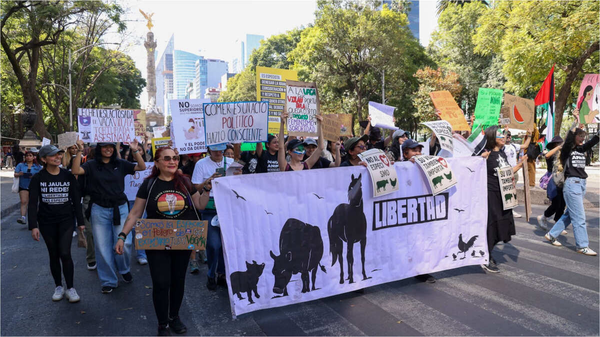 Marchas y bloqueos en la CdMx hoy 17 d noviembre | Cuartoscuro