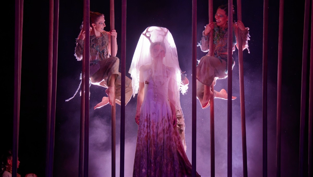 Muestra Nacional de Teatro 45; cierre exitoso y retos para Querétaro 2026 | Ifigenia en Aulide. FOTO: Raúl Kigra