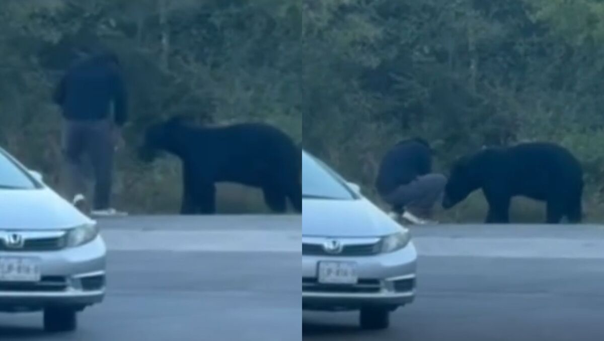 El video fue captado en la colonia Sierra Alta. | Especial.
