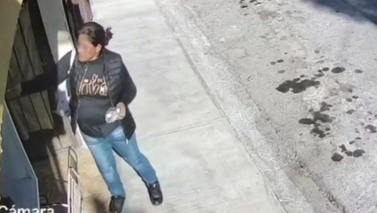 La afectada señaló que tras ingerir el alimento, uno de sus gatos falleció. | Foto: Especial