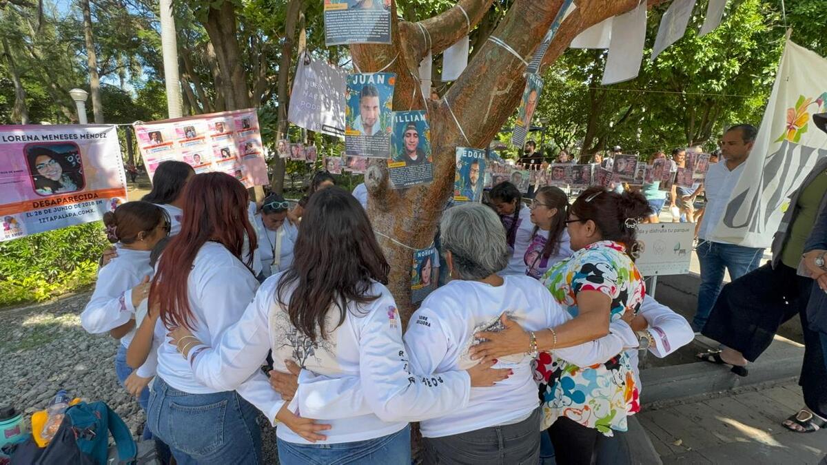 Actualmente, 51 colectivos de búsqueda reconocidos oficialmente en la entidad. | Foto: Especial