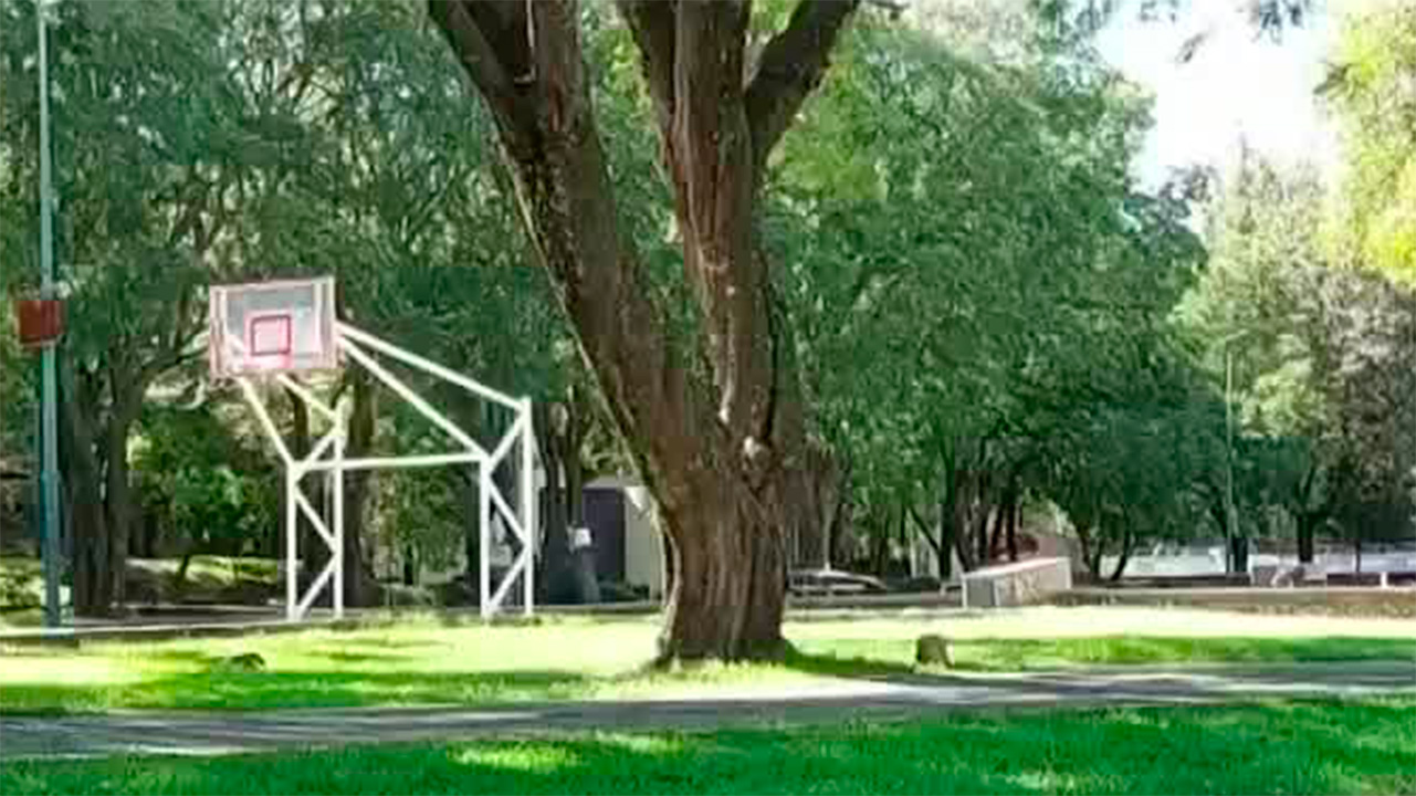 Conflicto por proyecto en Parque de la Juventud de Tlaxcala | Milenio Hábitat