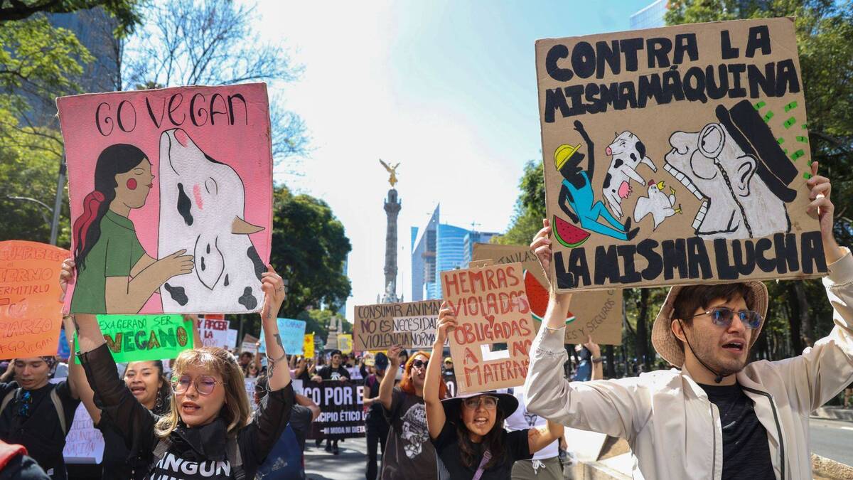 Marchas y bloqueos en la CdMx hoy 18 de noviembre | Cuartoscuro