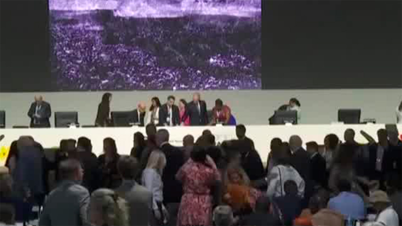 México actualiza meta climática: reducir emisiones en 50% para 2035 | Milenio Hábitat