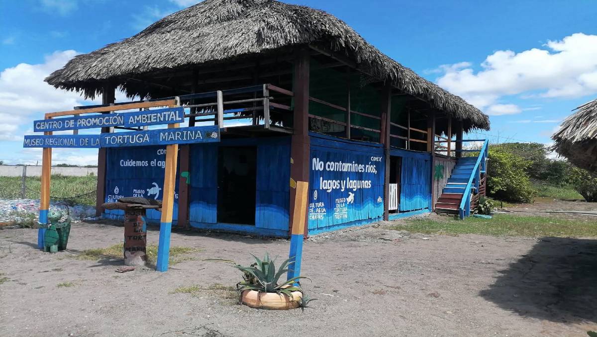 Roban ejemplares de animales en museo comunitario de Mazatán, Chiapas