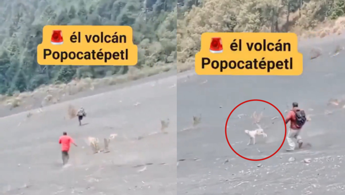Captan a hombres y perro huyendo tras estruendo en volcán Popocatépetl | Especial