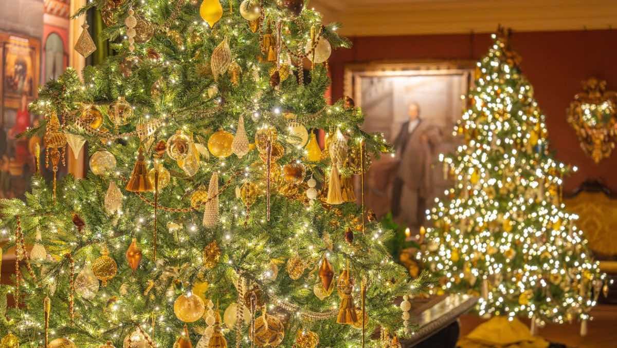 ¿Cuándo se pone el árbol de Navidad? | ESPECIAL