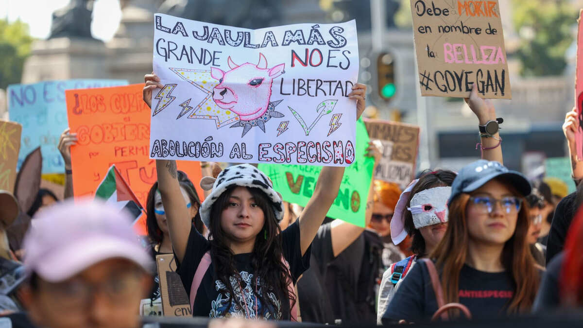 Marchas y bloqueos en la CdMx  hoy 19 de noviembre | Cuartoscuro
