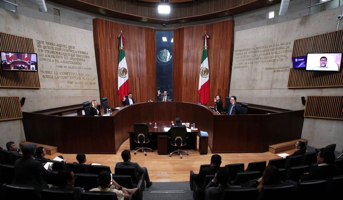 Sesión pública del Tribunal Electoral del Poder Judicial este miércoles 19 de noviembre. | Especial