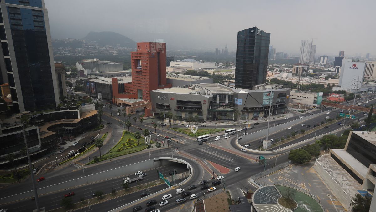 Buscan servicio de mantenimiento verde. Roberto Alanís