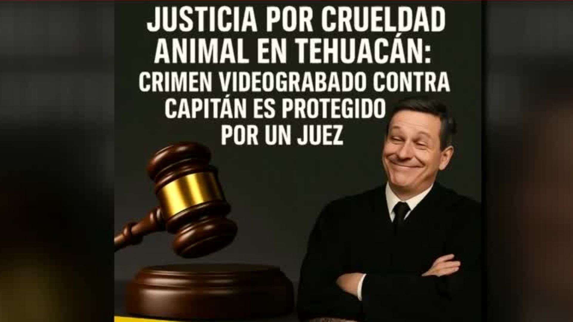 Juez frena el proceso legal del presunto agresor de un perrito llamado "Capitán" en Puebla