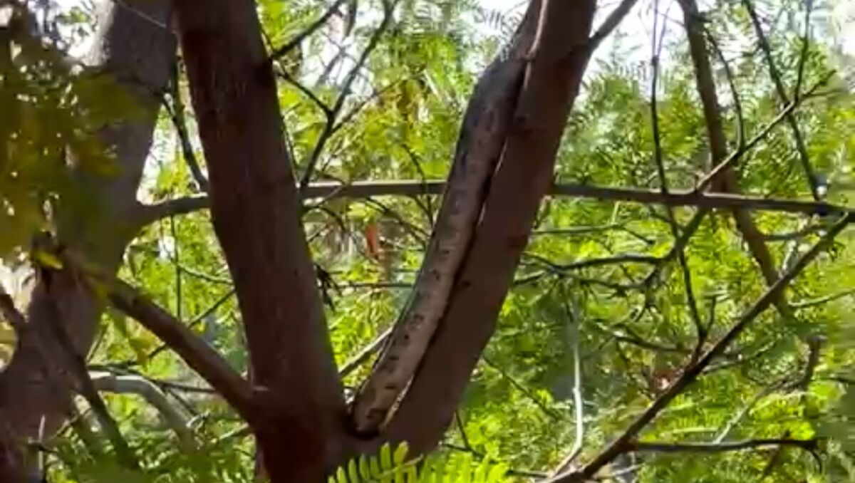 Al lugar arribó personal de Protección Civil municipal. | Especial.