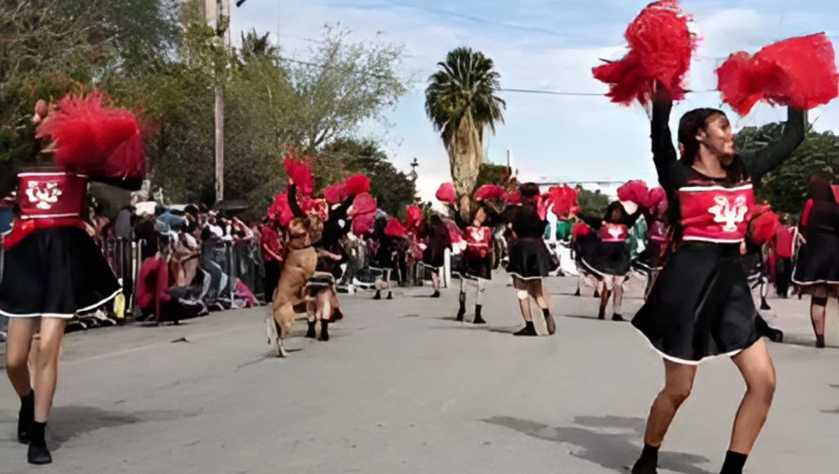 El can mostró toda su inocencia y se metió entre las alumnas, como si quisiera ser parte del cuadro de baile. | Especial