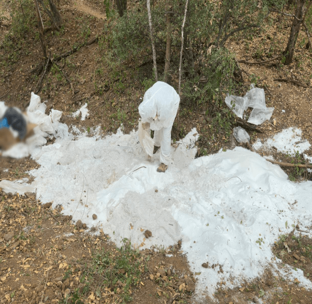 Inhabilitan laboratorio clandestino. | Especial