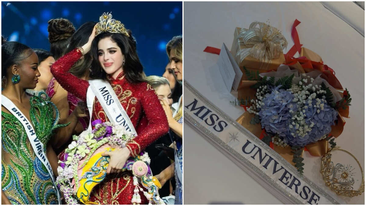 Estas fueron las reaccioones de los famosos al triunfo de Fátima Bosch | Especial