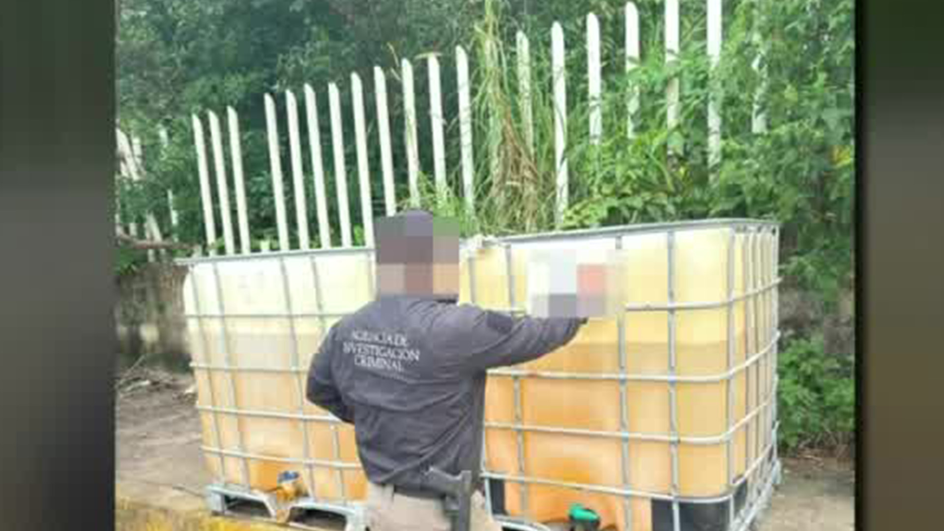 En Veracruz, un operativo de la SEDENA y Guardia Nacional resguardaron un inmueble y 24 unidades