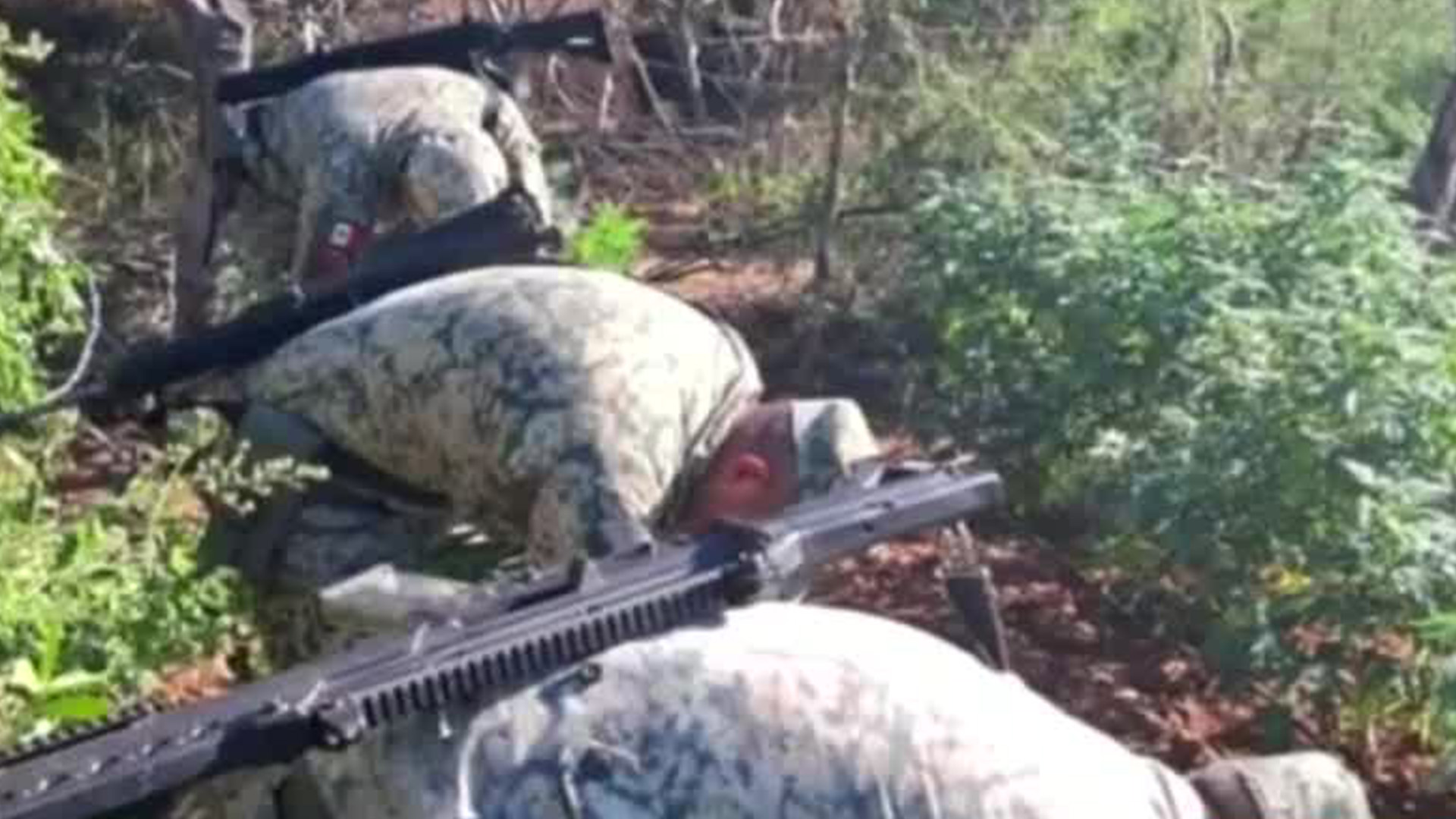 Dos plantíos de mariguana fueron destruidos por el ejército y la Guardia Nacional en Sinaloa